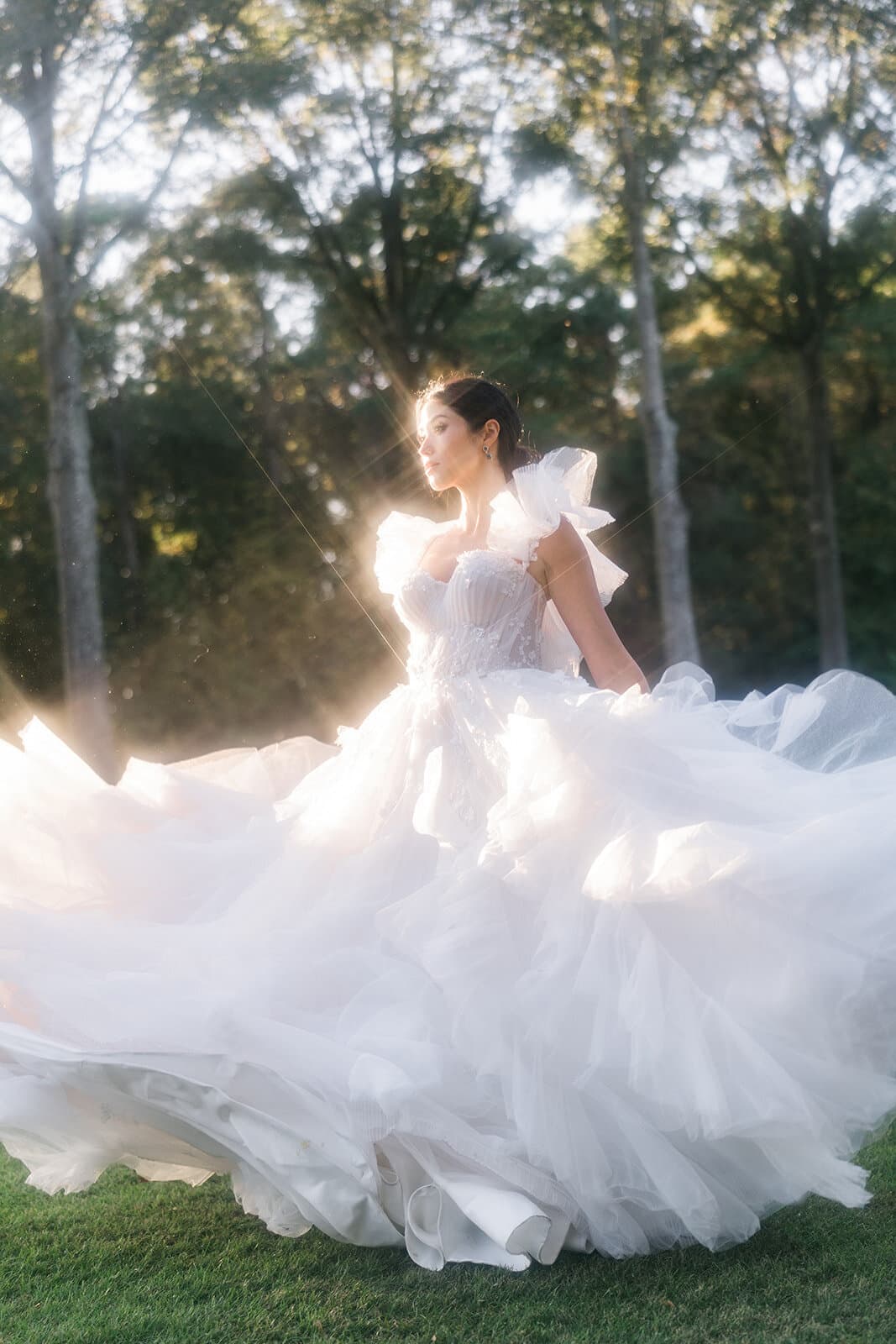 THE GOWNS