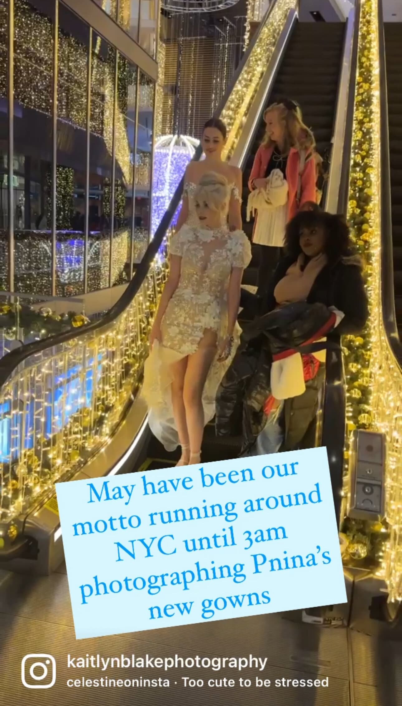 Story: running around NYC photographing Pnina Tornai's new gowns